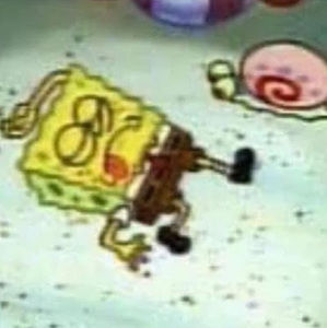 Meet your Posher, Caity